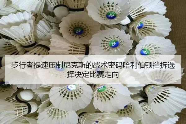 bu-xing-zhe-ti-su-ya-zhi-ni-ke-si-de-zhan-shu-mi-ma-ha-li-bo-dun-dang-chai-xuan-ze-jue-ding-bi-sai-zou-xiang-2-276.jpg